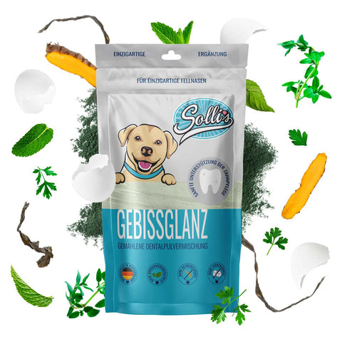 Solli's Dentalpulver Gebissglanz – Produktverpackung