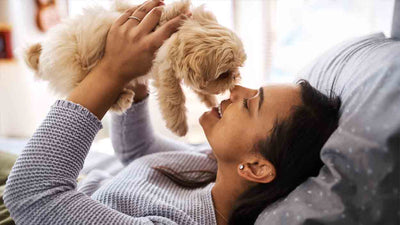 Bindung zum Hund aufbauen: Tipps und Antworten auf häufige Fragen