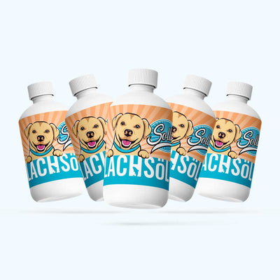 Lososový olej – pro zdravou kůži, srst a klouby