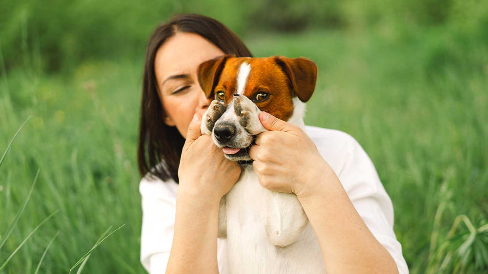 Wo braucht dein Hund Unterstützung?
