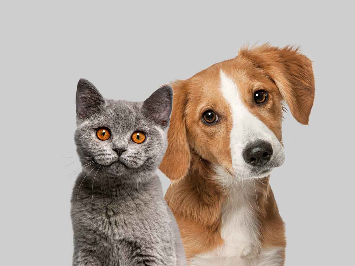 Augen & Ohren