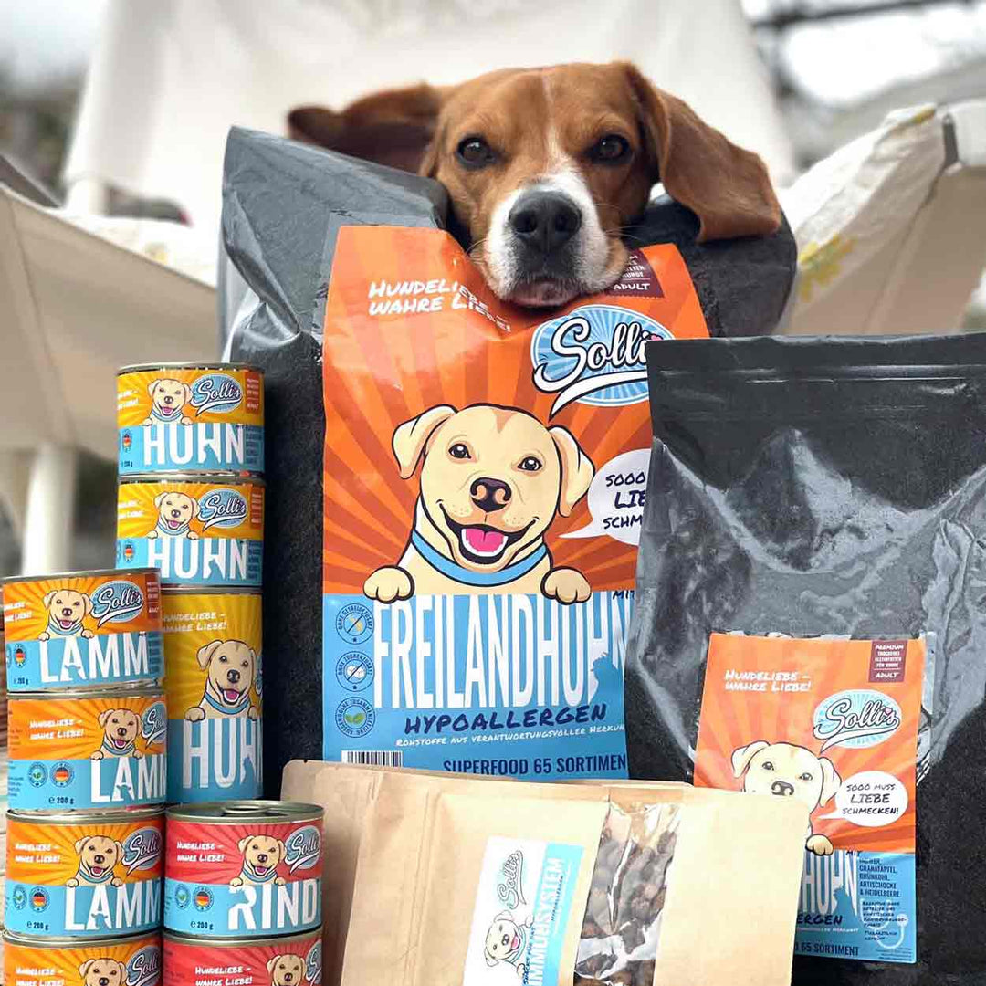 Das beste Nassfutter fr deinen Hund | Sollis Hundebedarf  Solli's  Hundebedarf