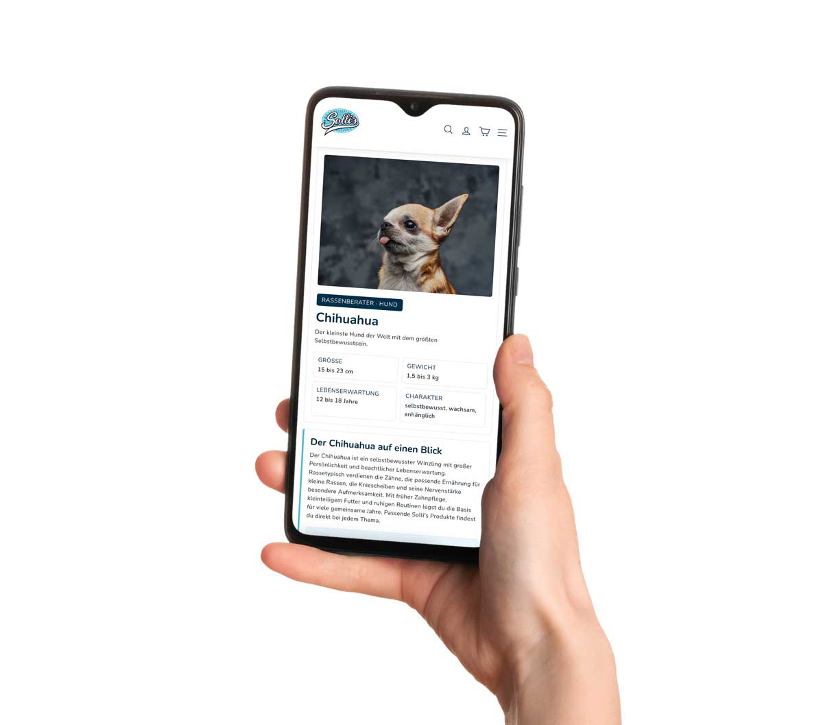 Vom Chihuahua