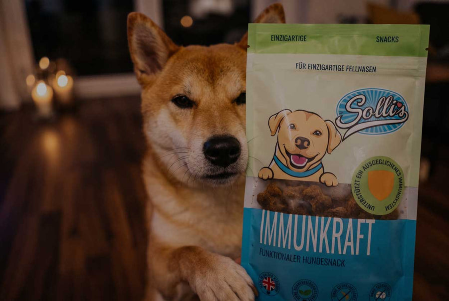 Für Hunde