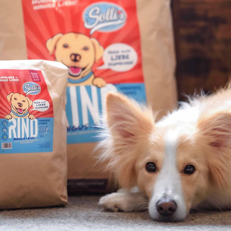 Trockenfutter Angus-Rind | Adult-Regular