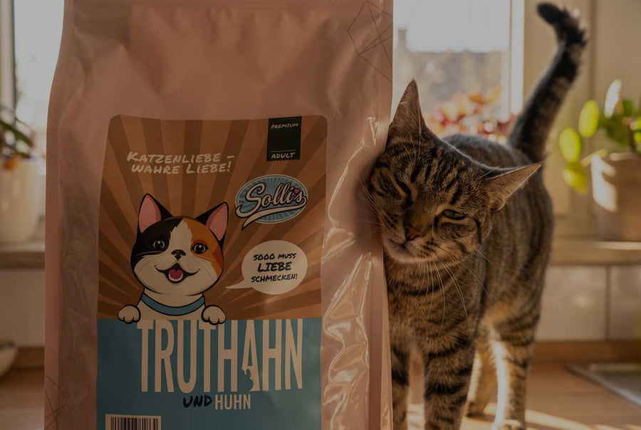 Für Katzen