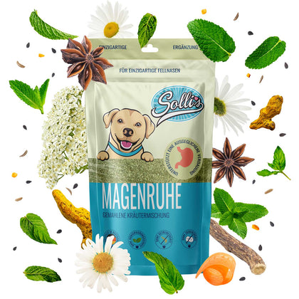 Örtblandning för matsmältningen – mot halsbränna och gräsätande