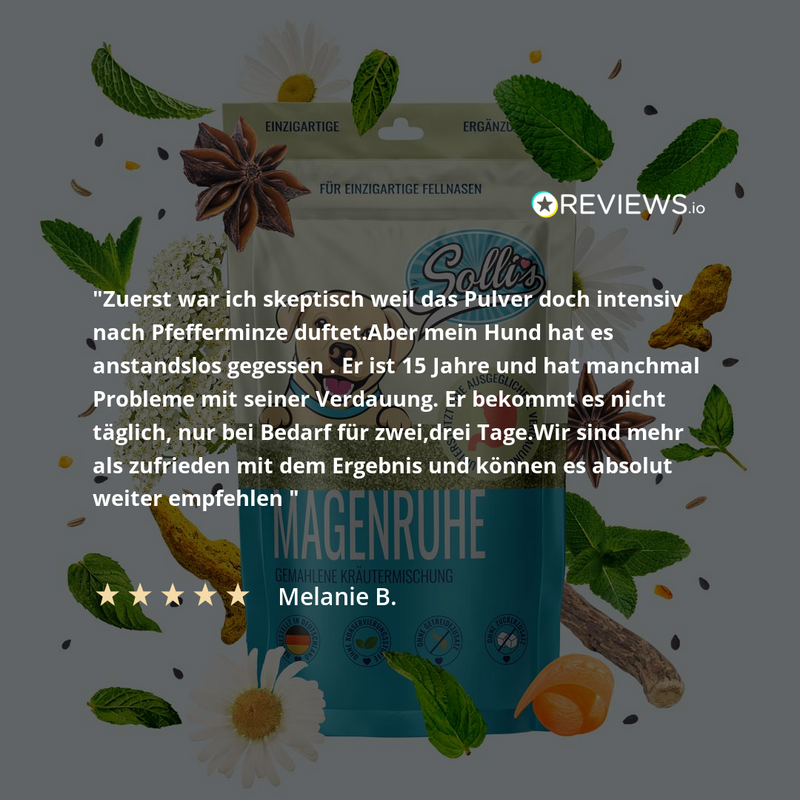 Bylinná směs na trávení – proti pálení žáhy a žvýkání trávy