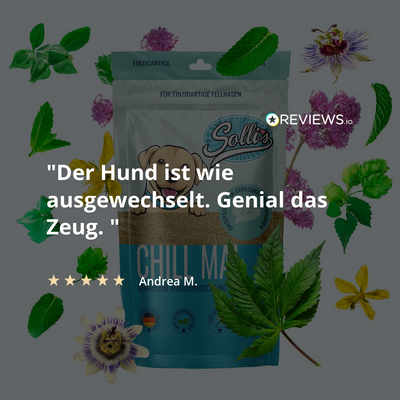 Bylinná směs Uklidnění – proti úzkosti a vnitřnímu neklidu