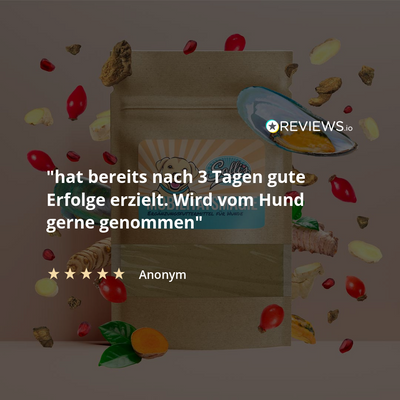 Prášek na klouby – proti artróze a nehybnosti