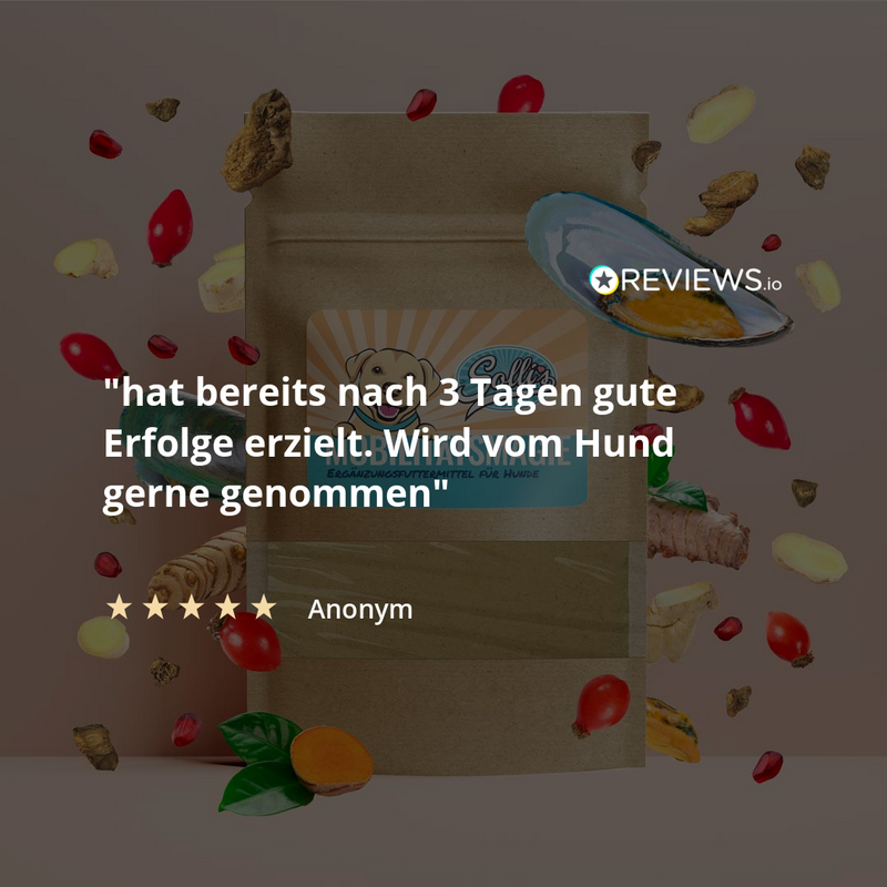 Prášek na klouby – proti artróze a nehybnosti