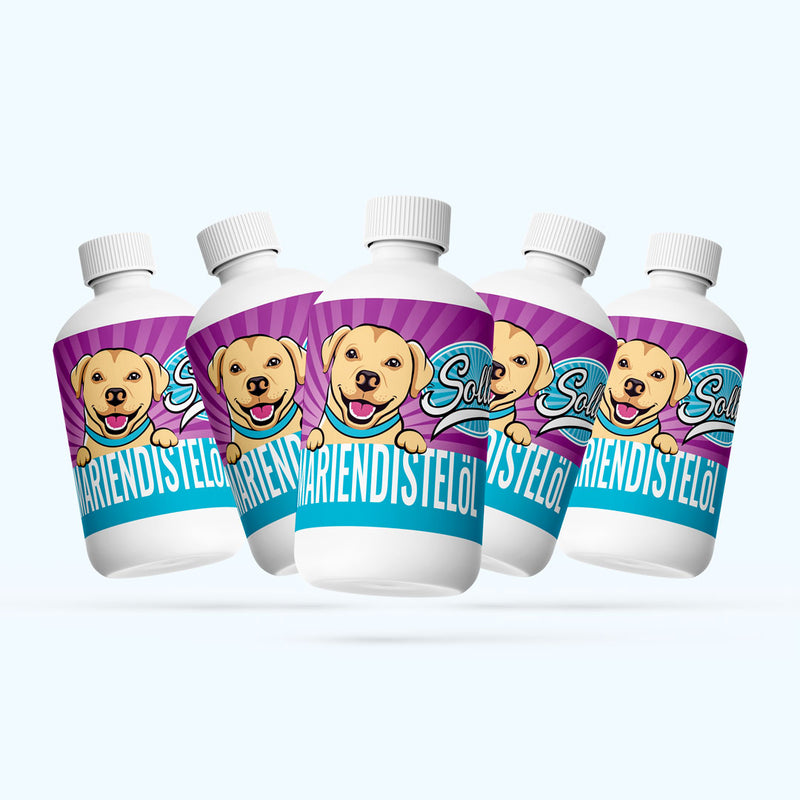 Olej z ostropestřce mariánského – pro zdravá játra, kůži a srst