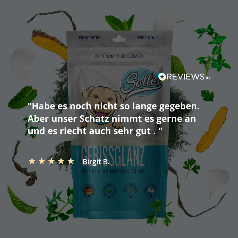 Zubní prášek - proti zubnímu kameni a zápachu z úst