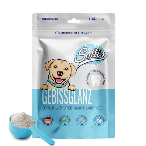 Pulver Gebissglanz