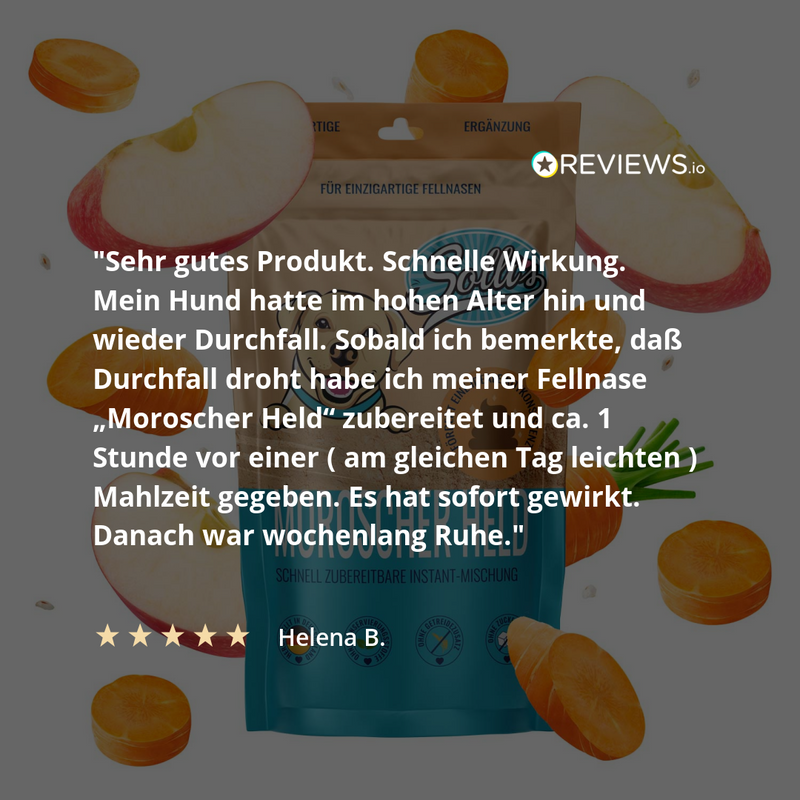 Morosche mrkvová polévková směs – hotová směs proti průjmu