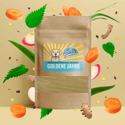 Prášek pro starší psy - proti stáří