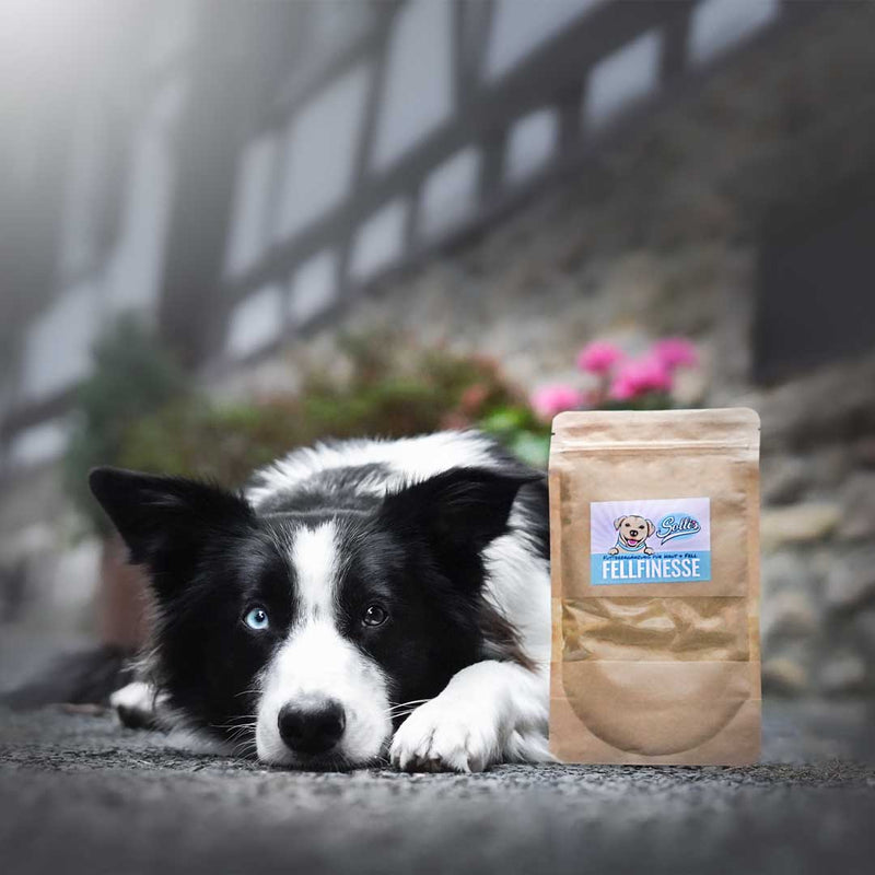 Prášek pro péči o srst – proti svědění, lysinám a lámavé srsti