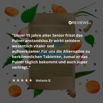 Prášek pro starší psy - proti stáří