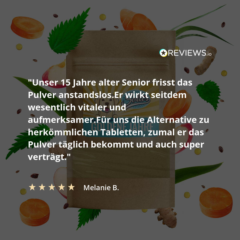 Prášek pro starší psy - proti stáří