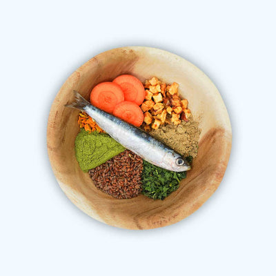 Prášek pro starší psy - proti stáří