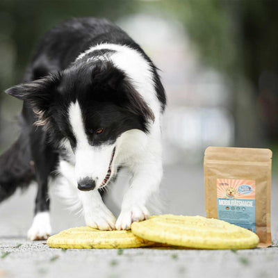 Prášek na klouby – proti artróze a nehybnosti