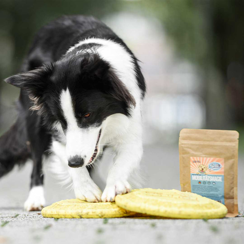 Prášek na klouby – proti artróze a nehybnosti