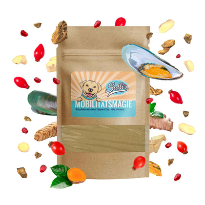 Poudre articulations – Contre l’arthrose et l’immobilité