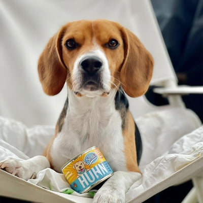 Nassfutter Huhn | Adult