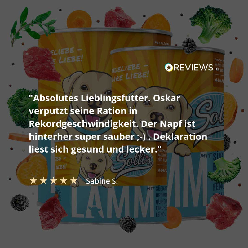 Comida húmeda para perros Cordero | Adultos