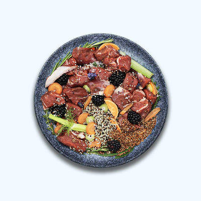 Comida húmeda para perros Cordero | Adultos