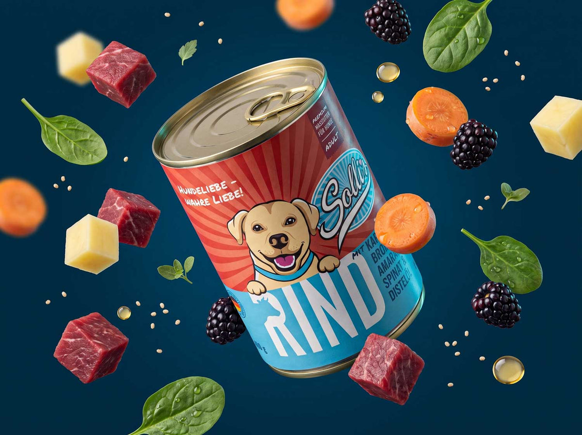 Pâtée Bœuf