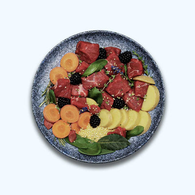 Comida húmeda para perros Vacuno | Adultos