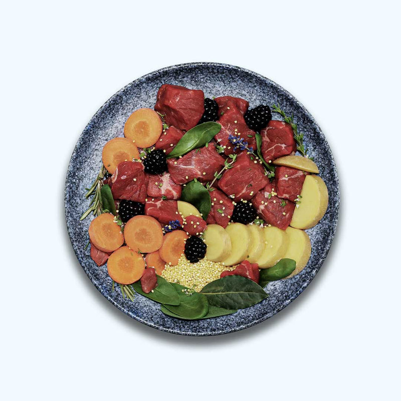 Comida húmeda para perros Vacuno | Adultos