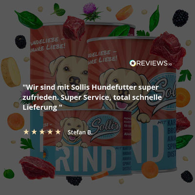 Comida húmeda para perros Vacuno | Adultos