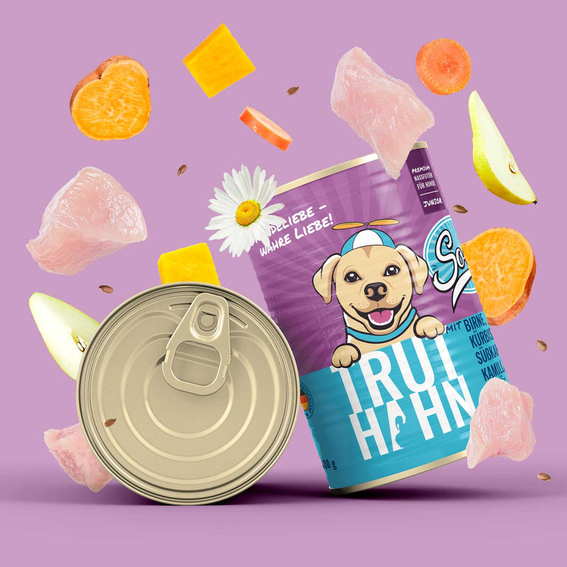 Comida húmeda para perros Pavo | Comida para cachorros