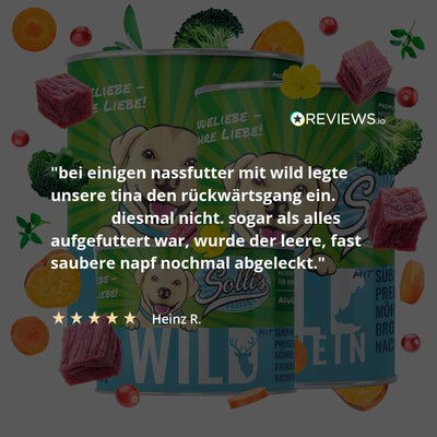 Mokré krmivo pro psy Divočák | Adult