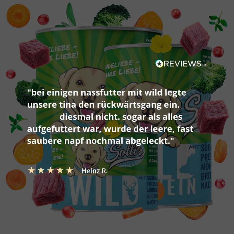 Mokré krmivo pro psy Divočák | Adult