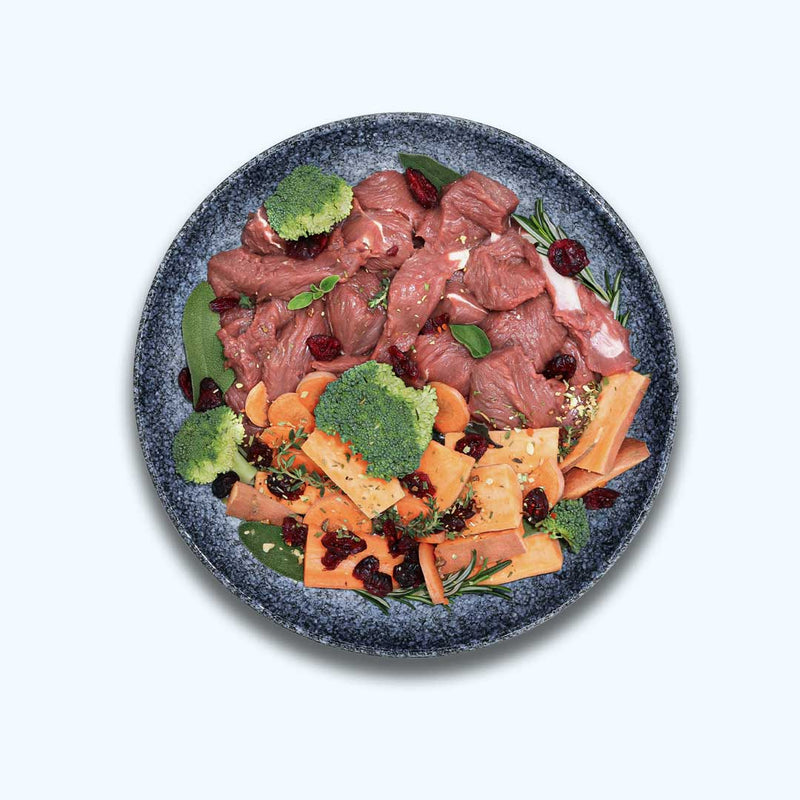 Mokré krmivo pro psy Divočák | Adult