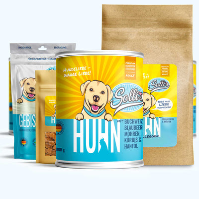 Probierpaket Huhn-Regular + GRATIS Dentalpulver | Adult