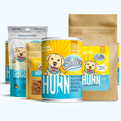 Probierpaket Huhn-Regular + GRATIS Dentalpulver | Adult
