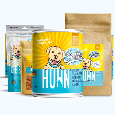 Probierpaket Huhn-Regular + GRATIS Dentalpulver | Adult
