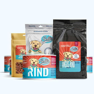 Pack découverte nourriture pour chiens bœuf minis + poudre dentaire GRATUIT
