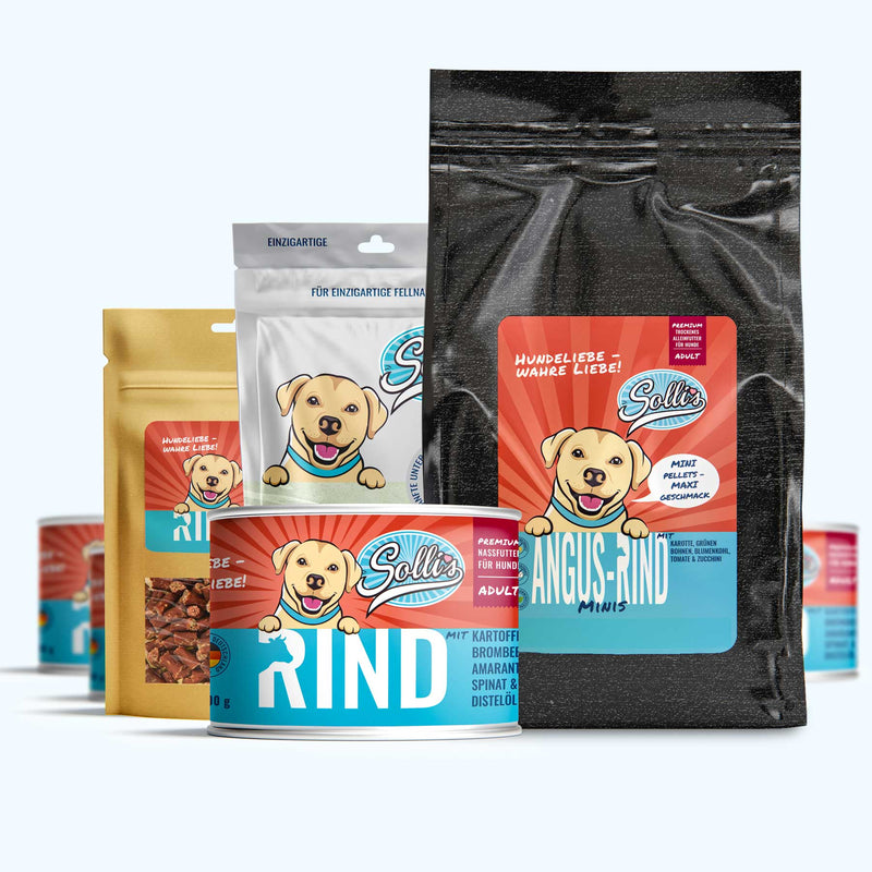Pack découverte nourriture pour chiens bœuf minis + poudre dentaire GRATUIT
