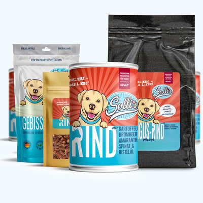 Pack découverte nourriture pour chiens bœuf minis + poudre dentaire GRATUIT