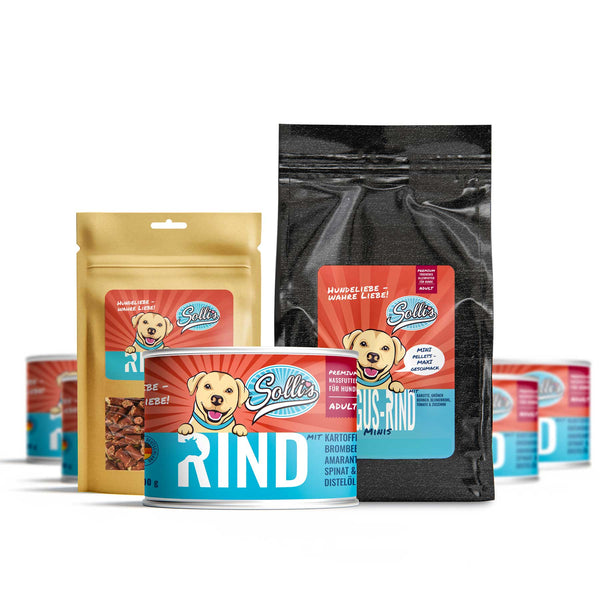 Das Starter-Set für deinen kleinen Hund | Rind