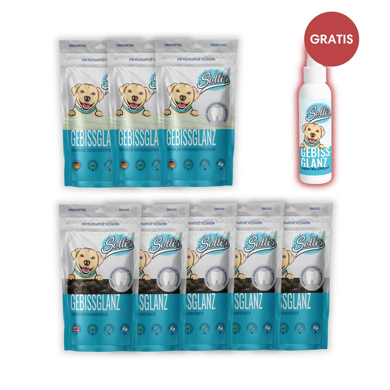 Sparpaket Gebissglanz + GRATIS Dentalspray