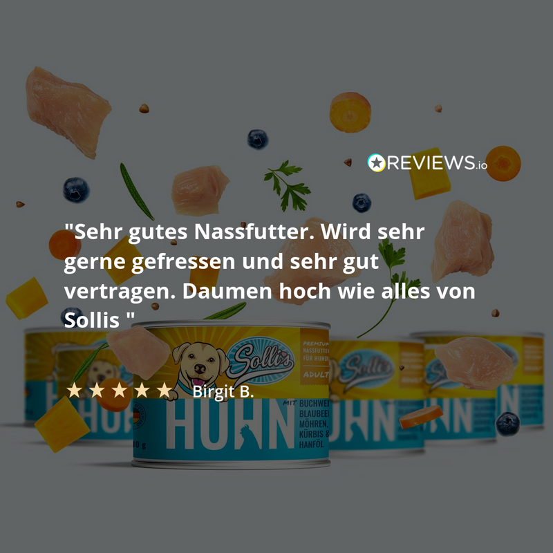 Nassfutter Huhn | Adult