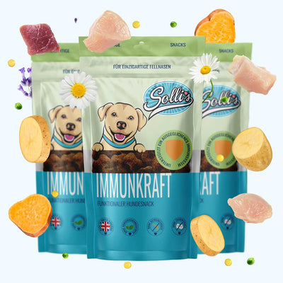 Funktionaler Snack Immunsystem - Fördert Immunabwehr