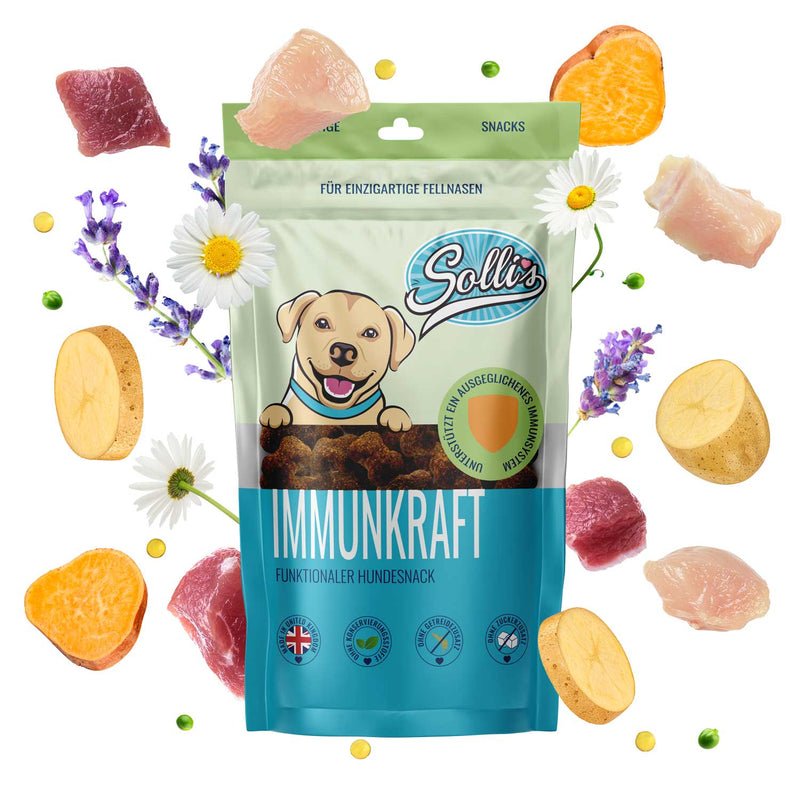 Funktionaler Snack Immunsystem - Fördert Immunabwehr