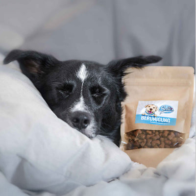 Snack funcional Calma - favorece el equilibrio